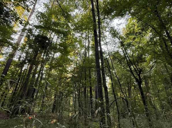 Sumrall Rd, Crystal Springs, MS 39059