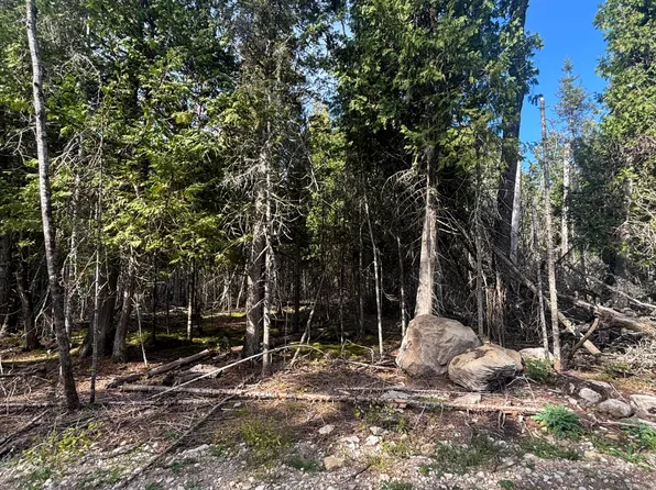 Shiawassee Trl Lot 128, Hessel, MI 49745