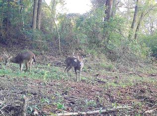 Canterbury Rd, Greenville, AL 36037