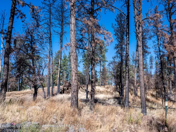 2 Sunset Dr, Alto, NM 88312