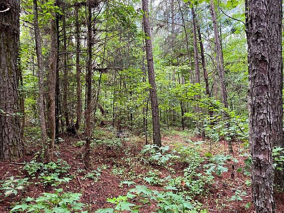 Premerchantable Mixed Natural Growth Timber