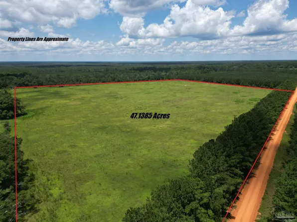 5500 Blk S Pineville Rd, Mc David, FL 32568