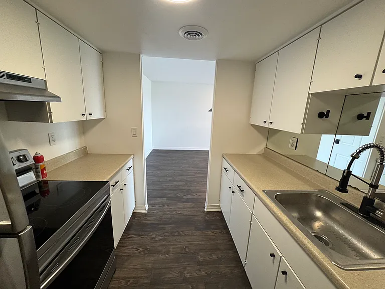 Kitchen features bright lighting and modern appliances including a reliable Bosch dishwasher and Samsung convection oven.