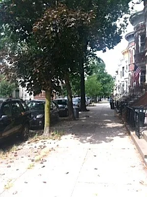 Rented by A D Shaye Realty Group  | media 56