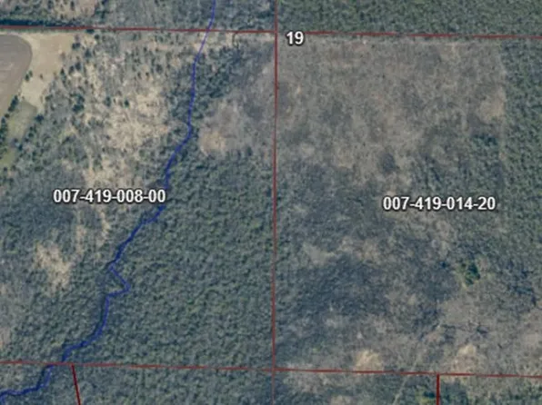 14.5 Lane, Wallace, MI 49893