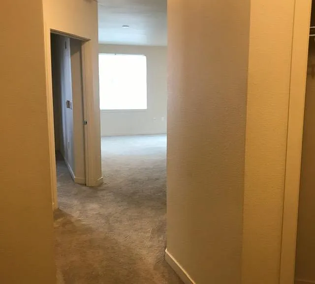 Hallway to Bed & Living Room