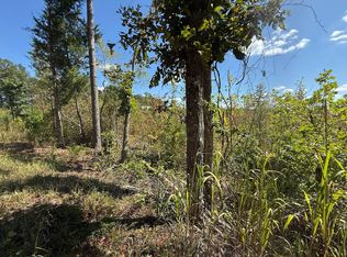 3 Leapwood Enville Rd, Adamsville, TN 38310