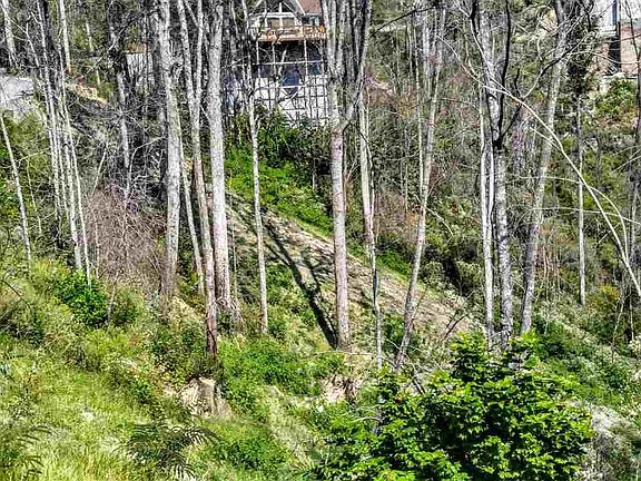 5th image of 919 Sourwood Dr