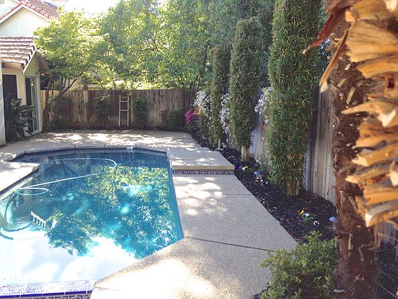 Backyard pool