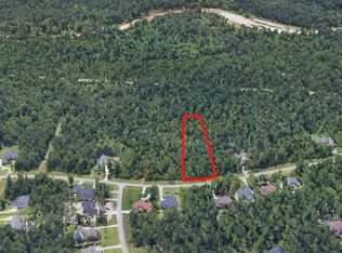 27338 Shady Hills Landing Ln, Spring, TX 77386