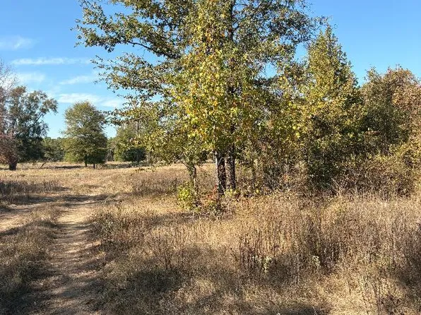 TRACT 5 Highway 990, Simms, TX 75574