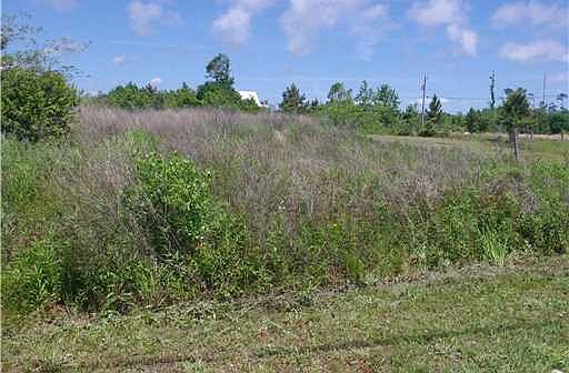 1st image of 6244 S Beach Blvd