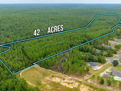 Welannee Blvd, Laurel Hill, FL, 32567