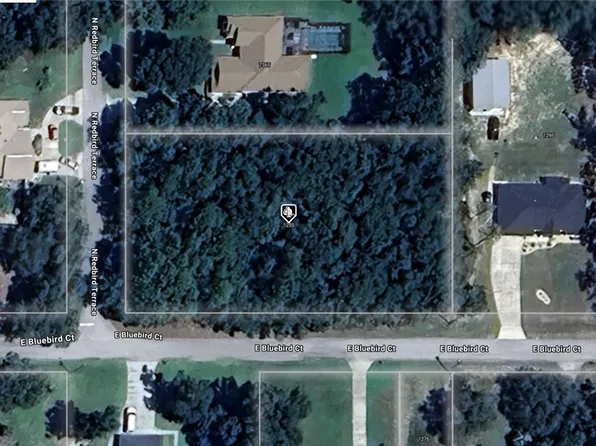 1255 E Bluebird Ct, Hernando, FL 34442