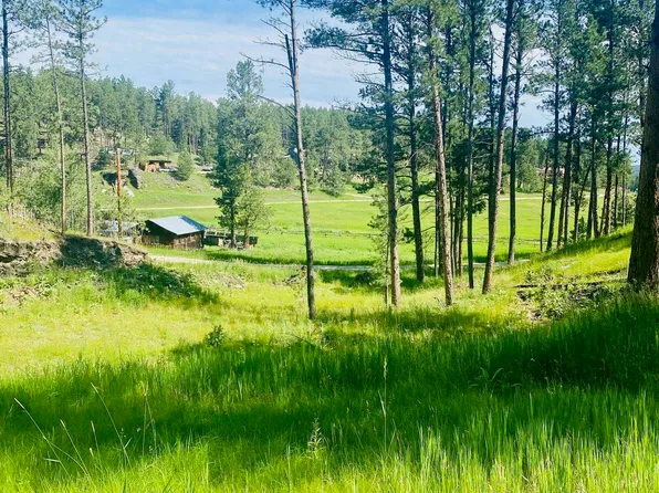 12709 Kennedyville Loop, Hill City, SD 57745