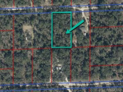 LOT 213 NE 86th St, Bronson, FL, 32621