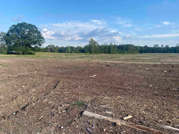 6745 Amity Rd, Bonnerdale, AR 71933