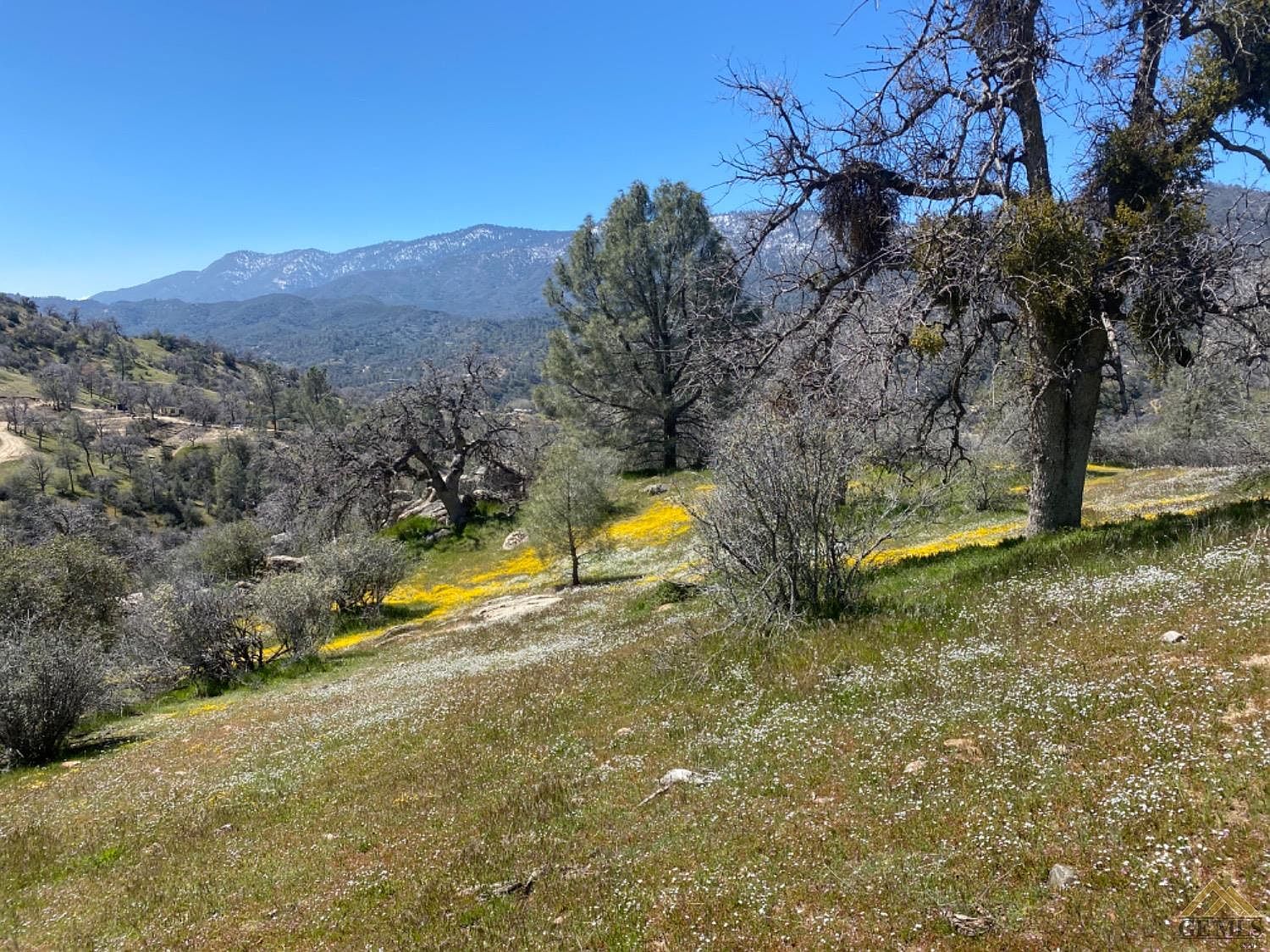 0 N Ranch Rd, Caliente, CA 93518 MLS 202302118 Zillow