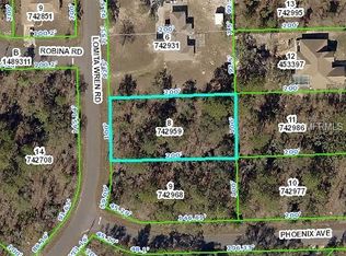 11510 Lomita Wren Rd, Weeki Wachee, FL 34614