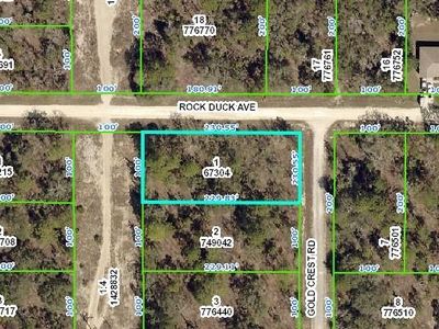 12446 Rock Duck Ave, Weeki Wachee, FL, 34614