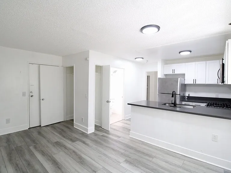 Electro Apartments - WSP 833 Berendo LLC — Photo 9