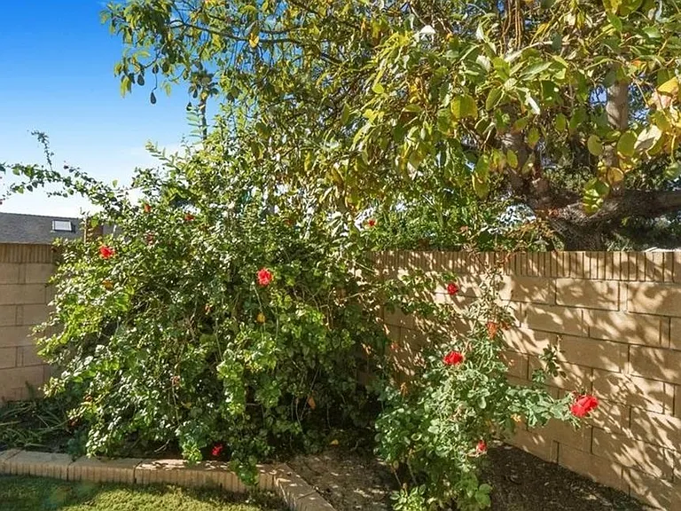 24121 El Tiradore Cir — Photo 11