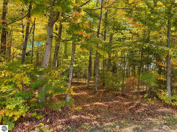 3930 Spruceview Ln, Mackinac Island, MI 49757