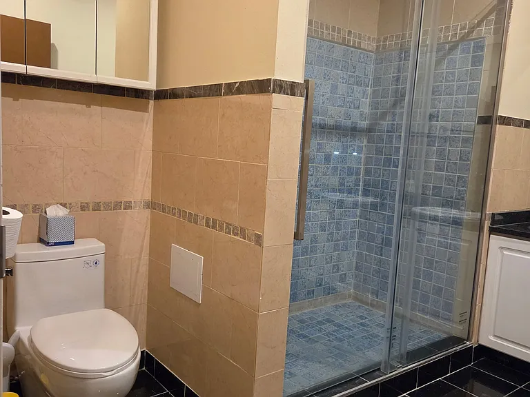 Shower 2