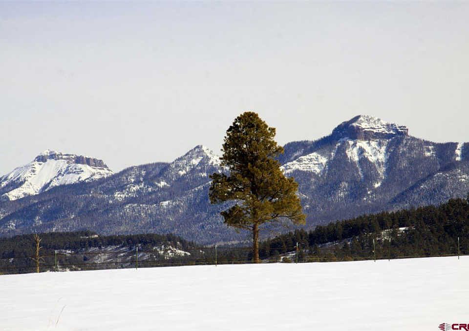 1st image of 334 Ponderosa Dr