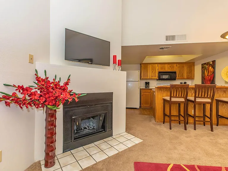 Rio Cancion Apartments — Photo 73