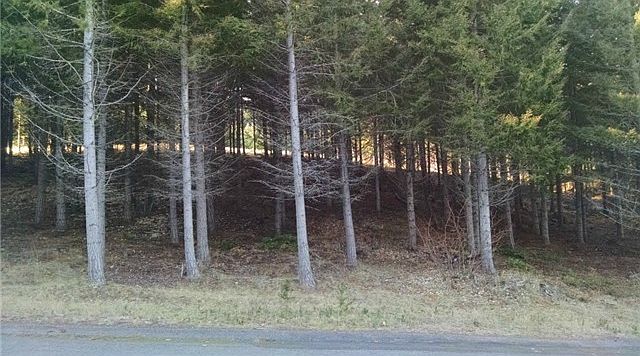 2nd image of 271 Quick Creek Ln