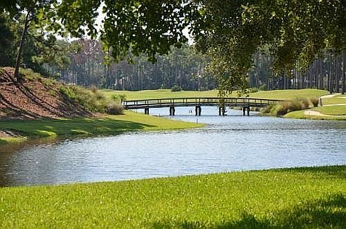 Lakes and Walking Paths