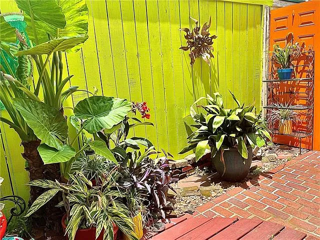 7028 Magazine St #A — Photo 2