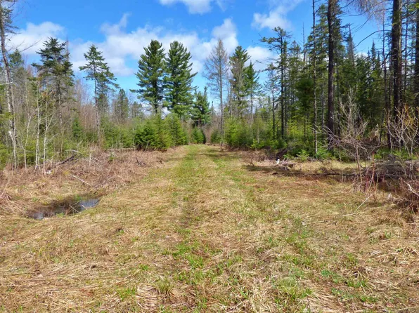 Spar Hawk Road, Wheelock, VT 05851