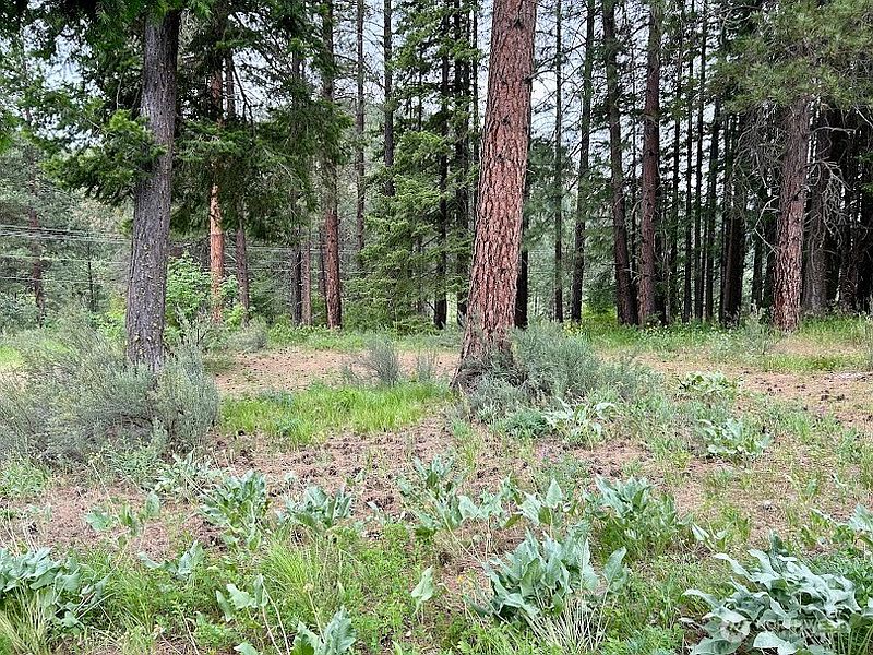 5th image of 15425 Chumstick Highway