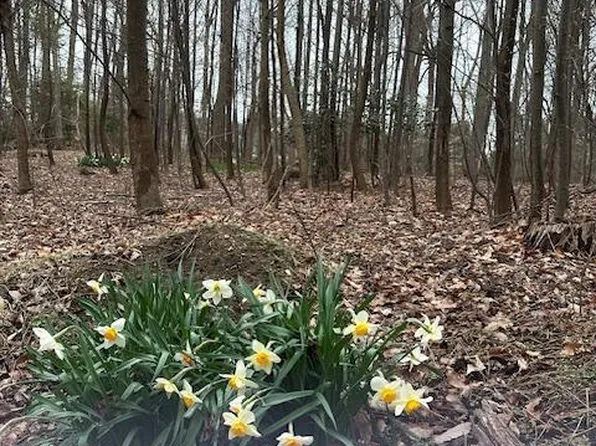 814 Newhall Rd, Kennett Square, PA 19348