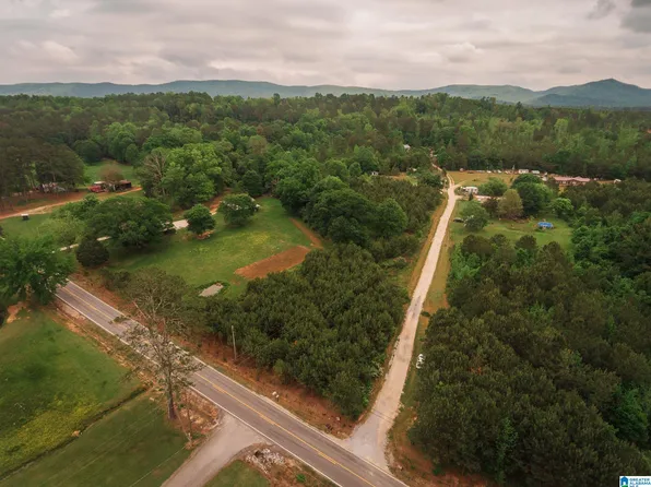 600 Possum Trot Rd #10.34, Piedmont, AL 36272