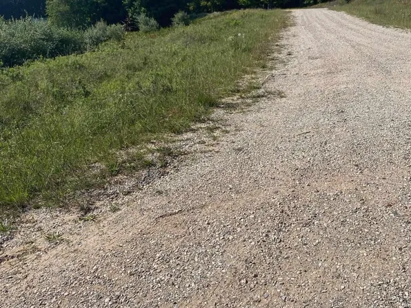 0 Chickadee Ln, Frankfort, MI 49635