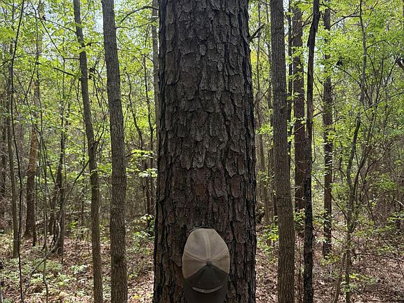 4th image of Old Jackson Rd