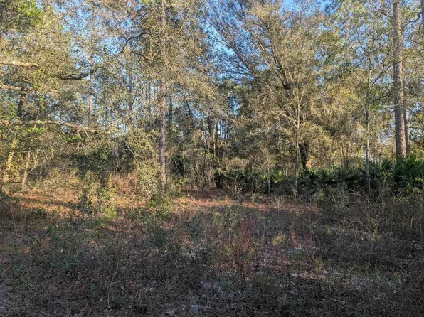 10300 McMahon Ave, Hastings, FL 32145