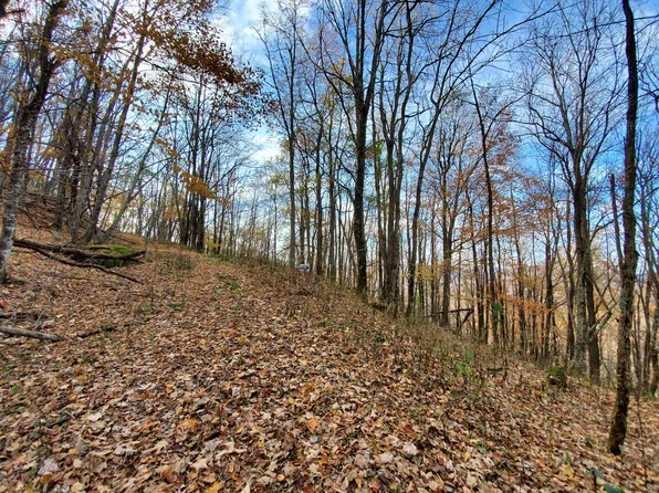 Sylvan Way, Way, TN 37687