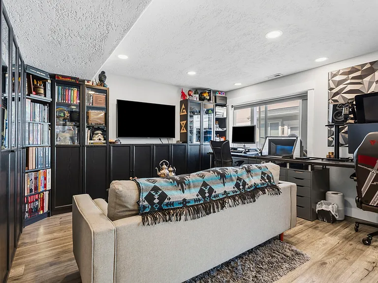 Basement living room