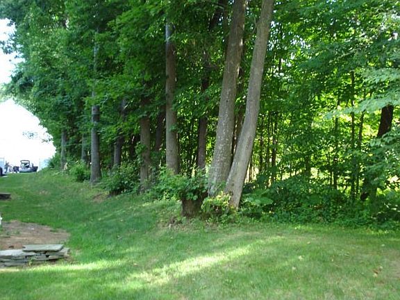 Wooded back yard