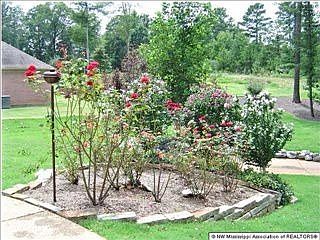1st image of 9862 Mosby Dr