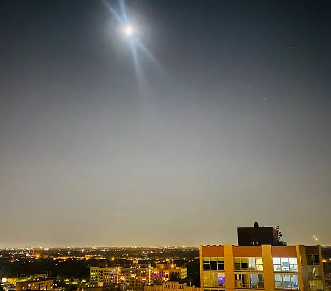 Moonlit Nights