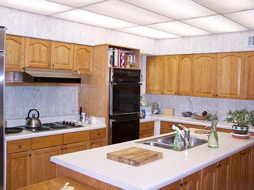 4th image of 1131 BIRCH HILL DR
