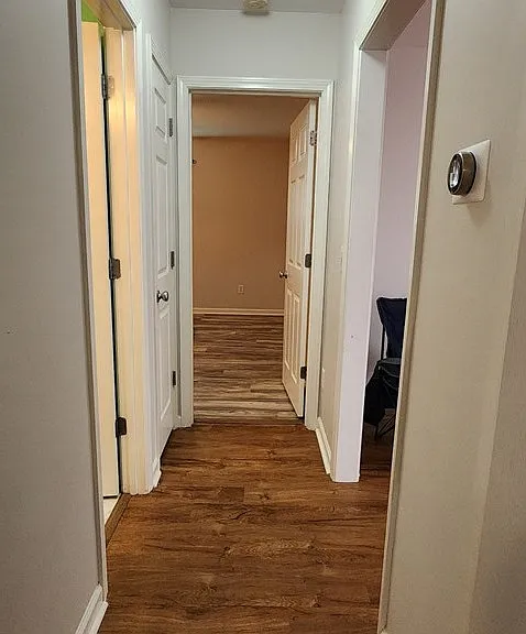 2830 Amidala Ln — Photo 24