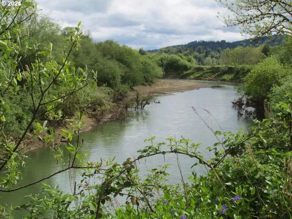 54210 Old Broadbent Rd, Myrtle Point, OR 97458