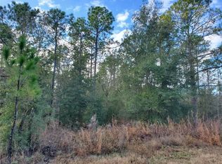 14870 SE 6th Ln, Williston, FL 32696