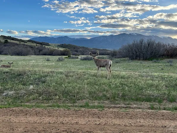 LOT 12 Estelle Ave, Colorado City, CO 81019